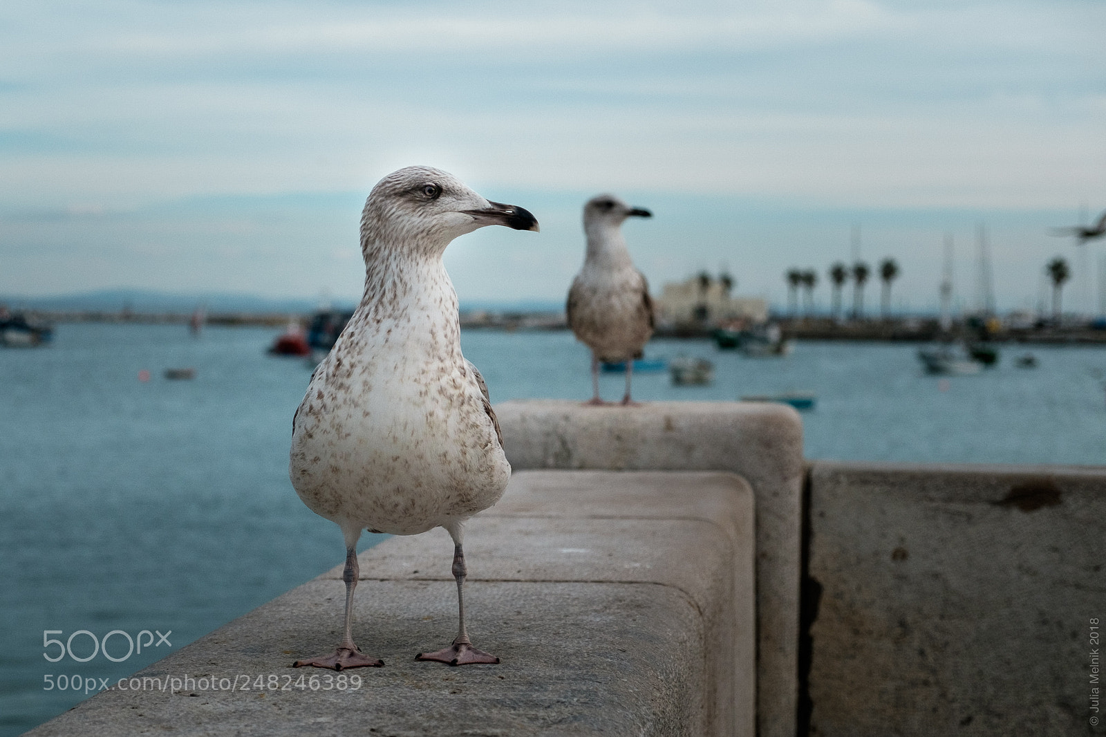 Fujifilm X-T10 sample photo. The deuce photography