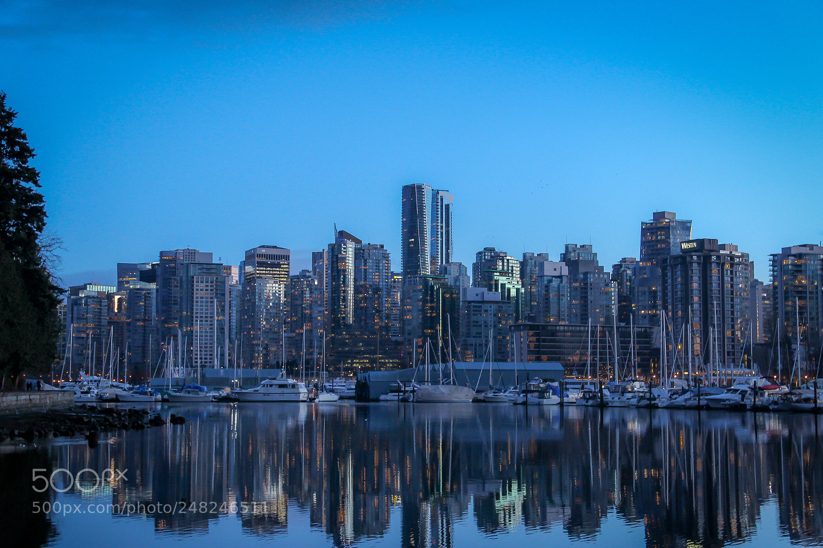 Canon EOS 600D (Rebel EOS T3i / EOS Kiss X5) sample photo. Stanley park harbour photography