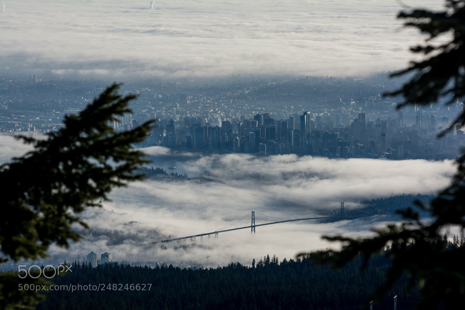 Nikon D7100 sample photo. Rolling fog photography
