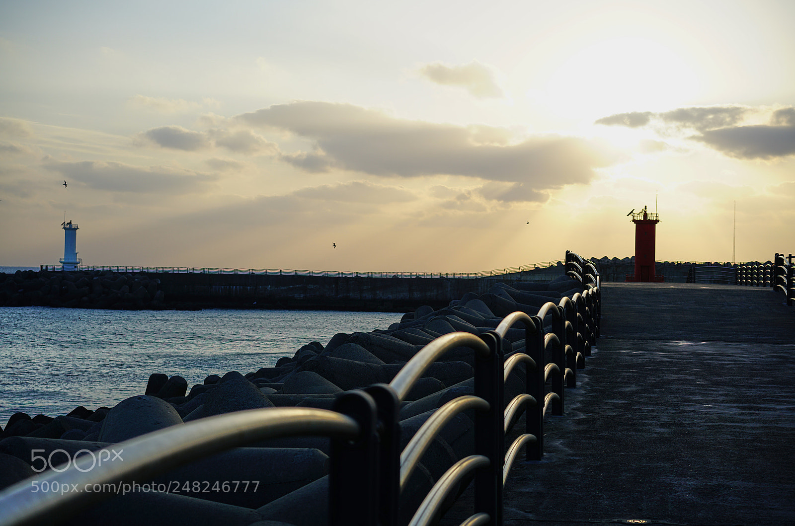 Sony a7R II sample photo. Sea photography