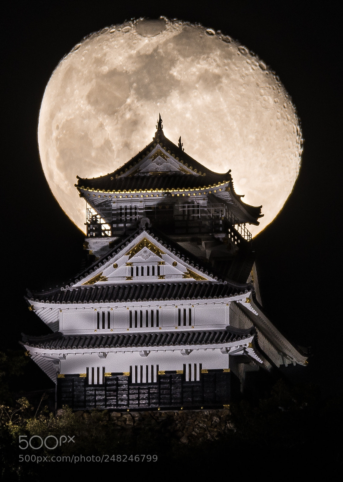 Nikon D800 sample photo. Nobunaga photography