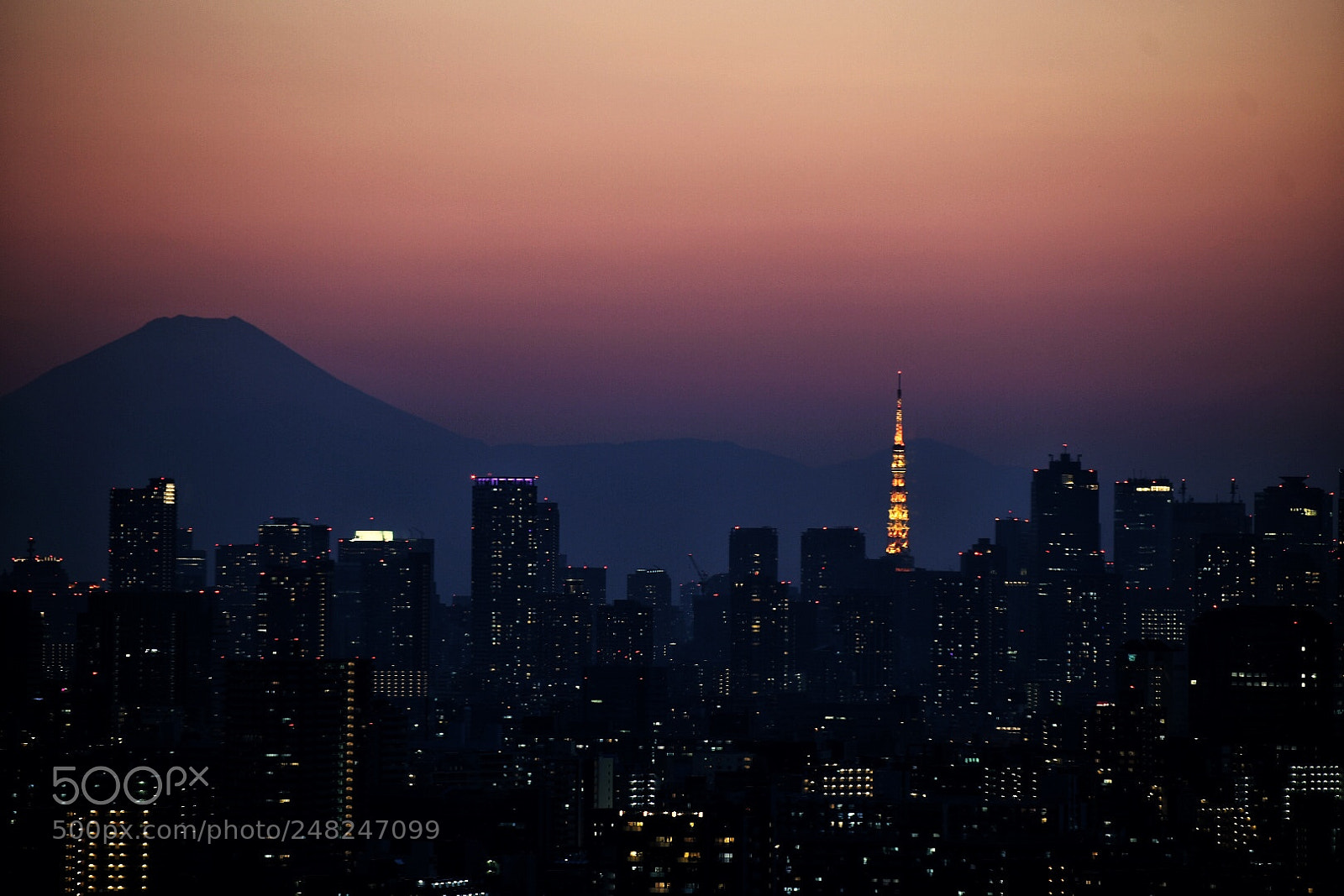 Nikon D7500 sample photo. Twilight japan. photography