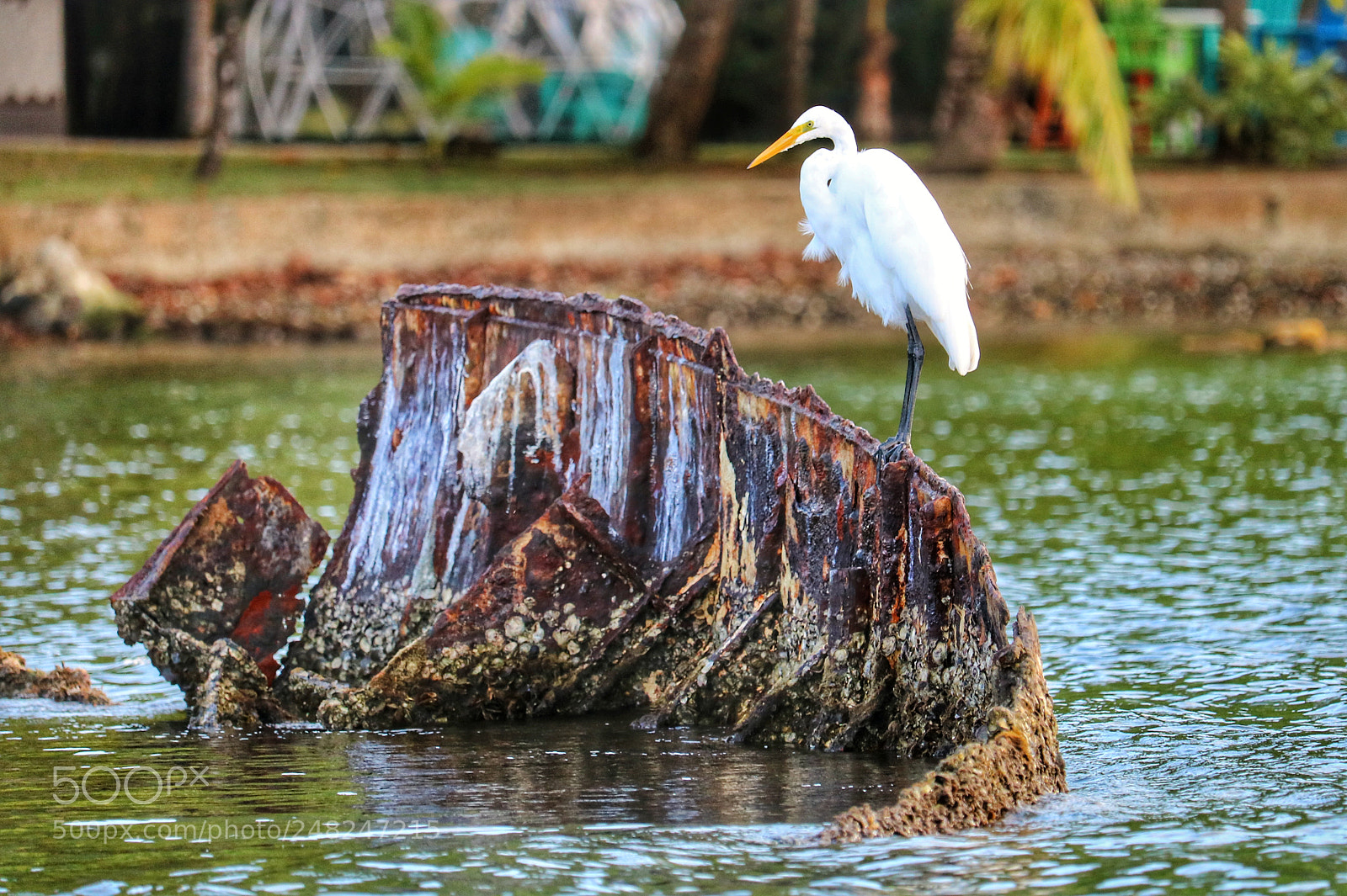 Canon EOS 750D (EOS Rebel T6i / EOS Kiss X8i) sample photo. In calm photography