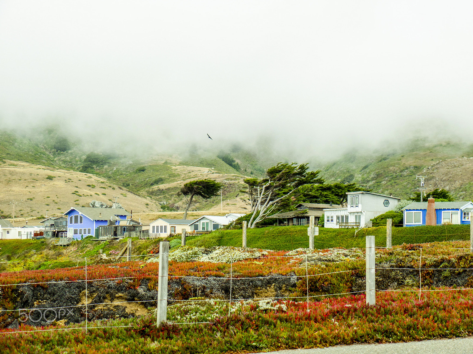 Samsung WB350F/WB351F/WB352F sample photo. Along the ocean photography