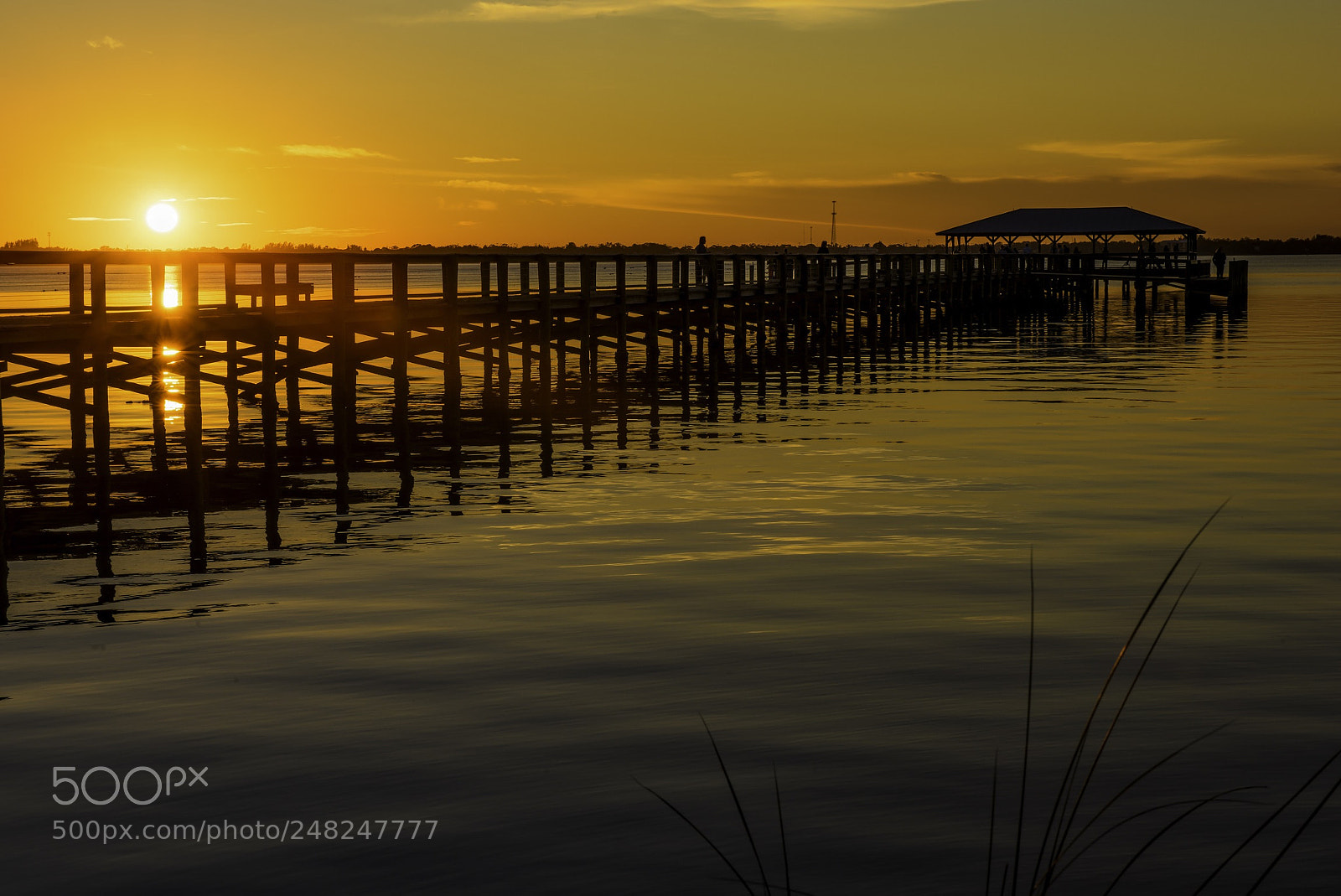 Nikon D810 sample photo. Melbourne dock photography