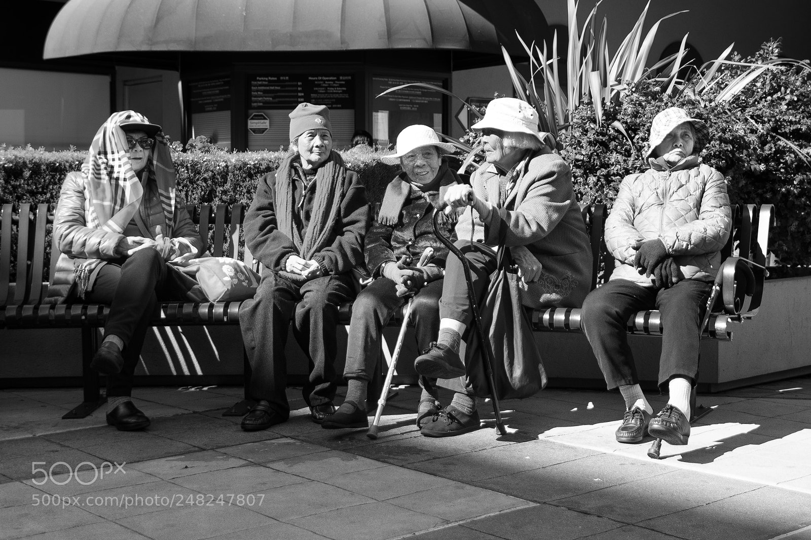 Nikon D850 sample photo. Old friends photography