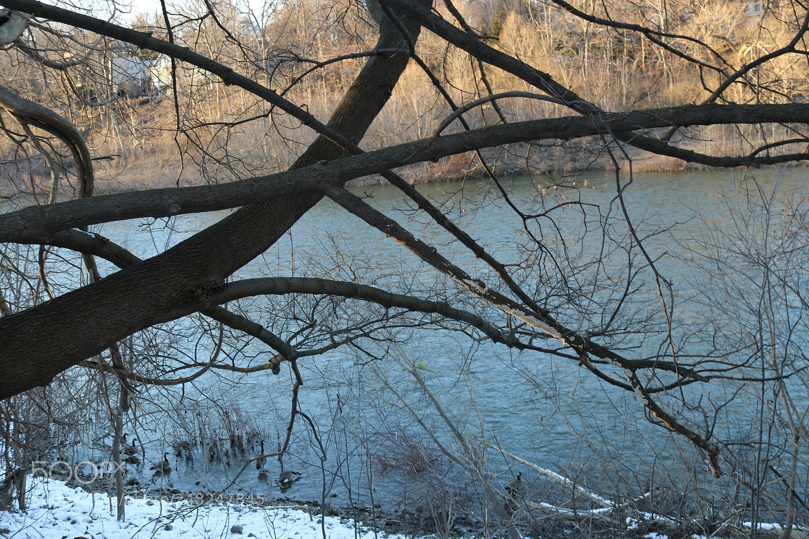 Canon EOS 80D sample photo. Forest in the winter photography