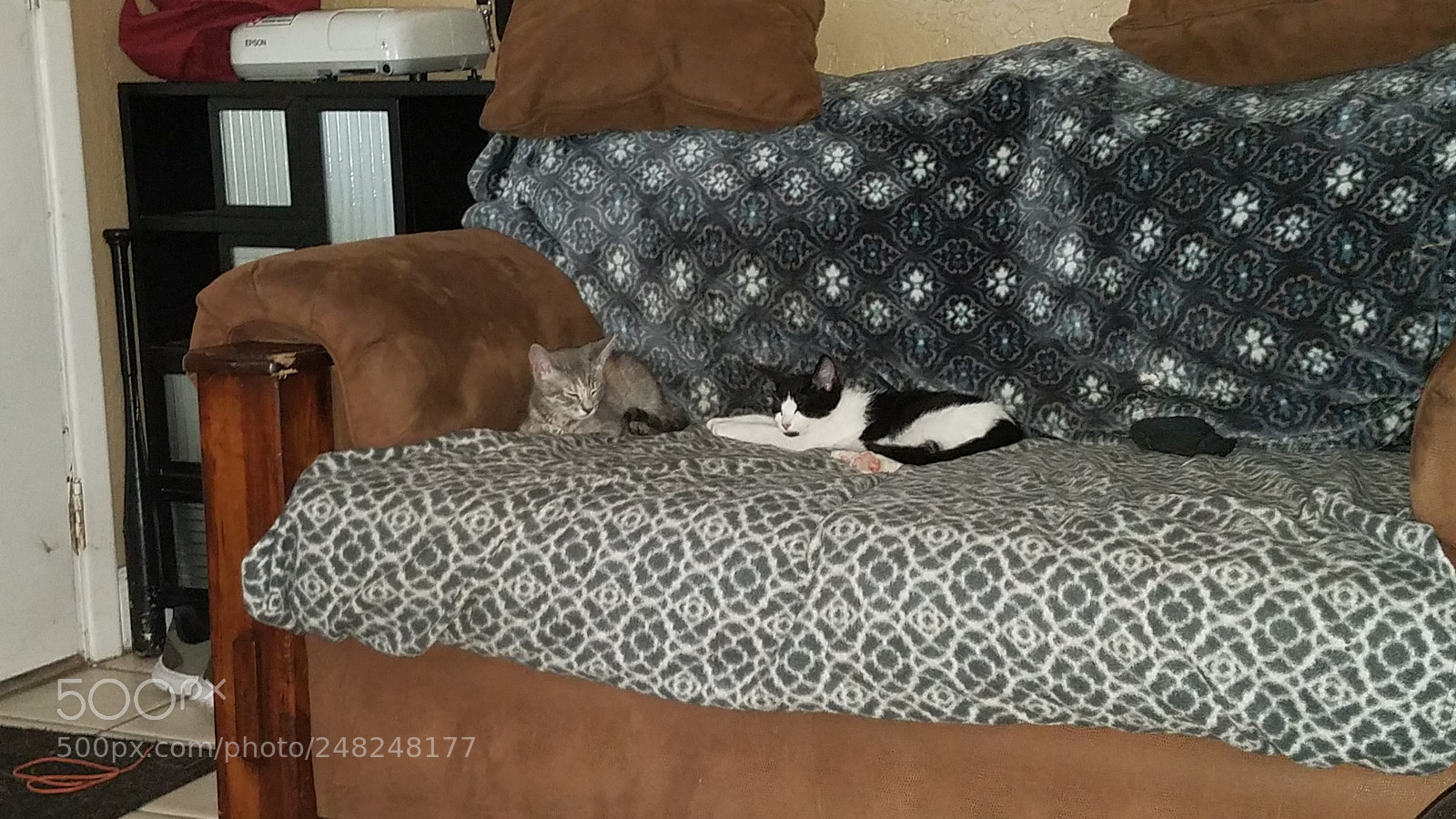 Samsung Galaxy S7 sample photo. 20170625_140509.jpg photography