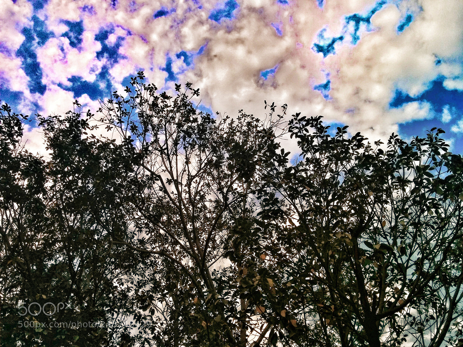 LG Nexus 5 sample photo. # sky view # photography