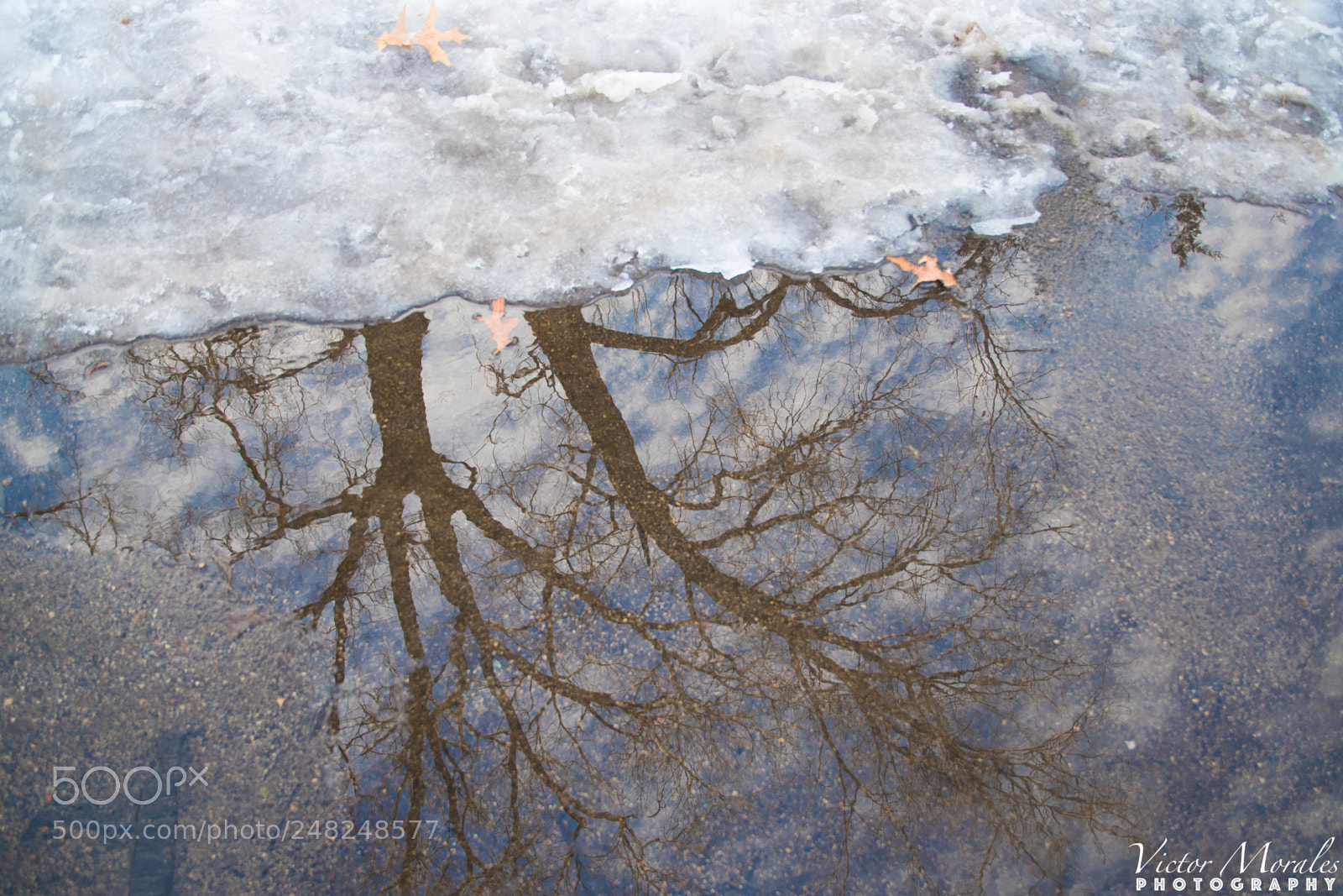 Nikon D500 sample photo. Modific photography