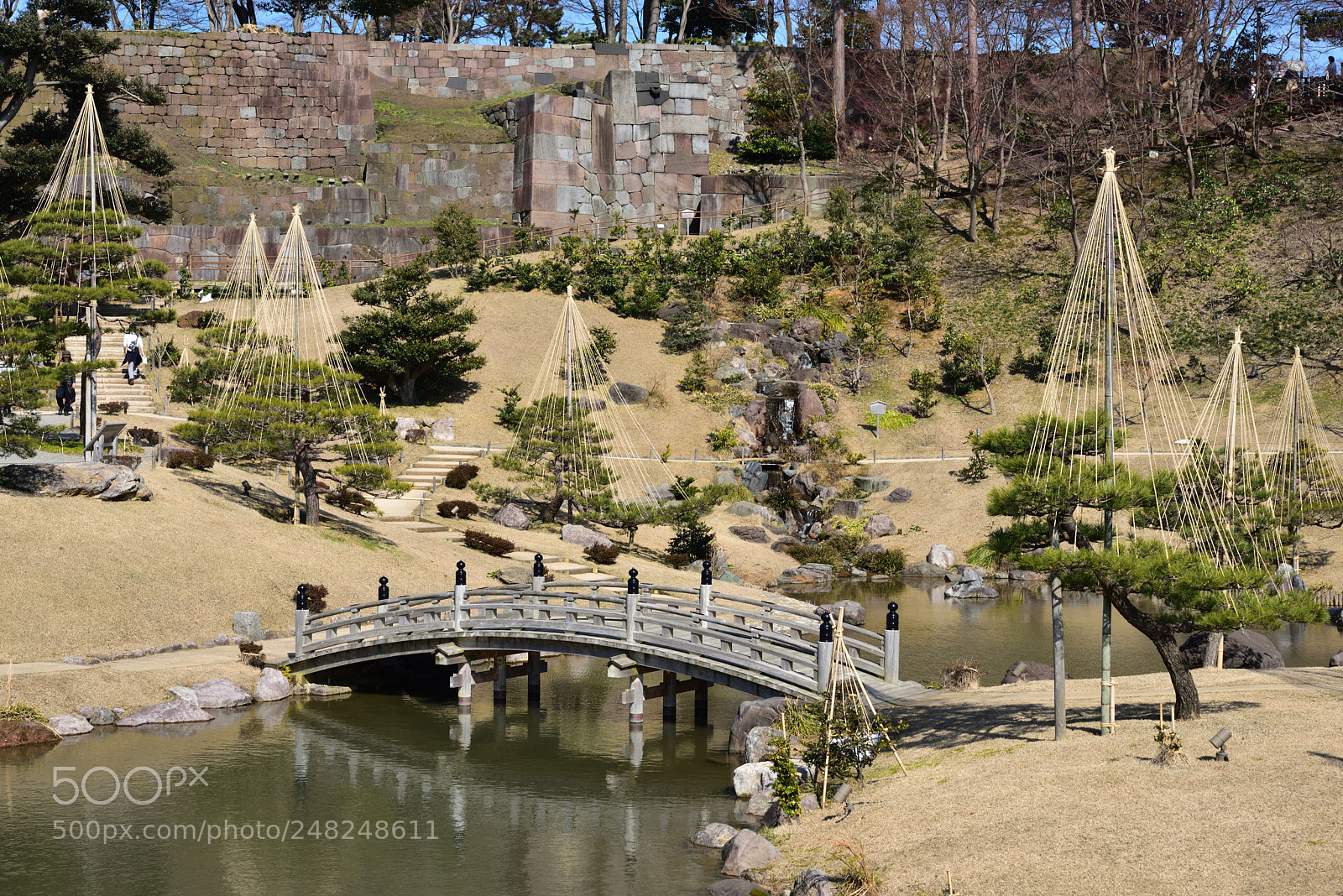 Nikon AF-S Micro-Nikkor 60mm F2.8G ED sample photo. 玉泉院丸庭園 金沢城公園 photography