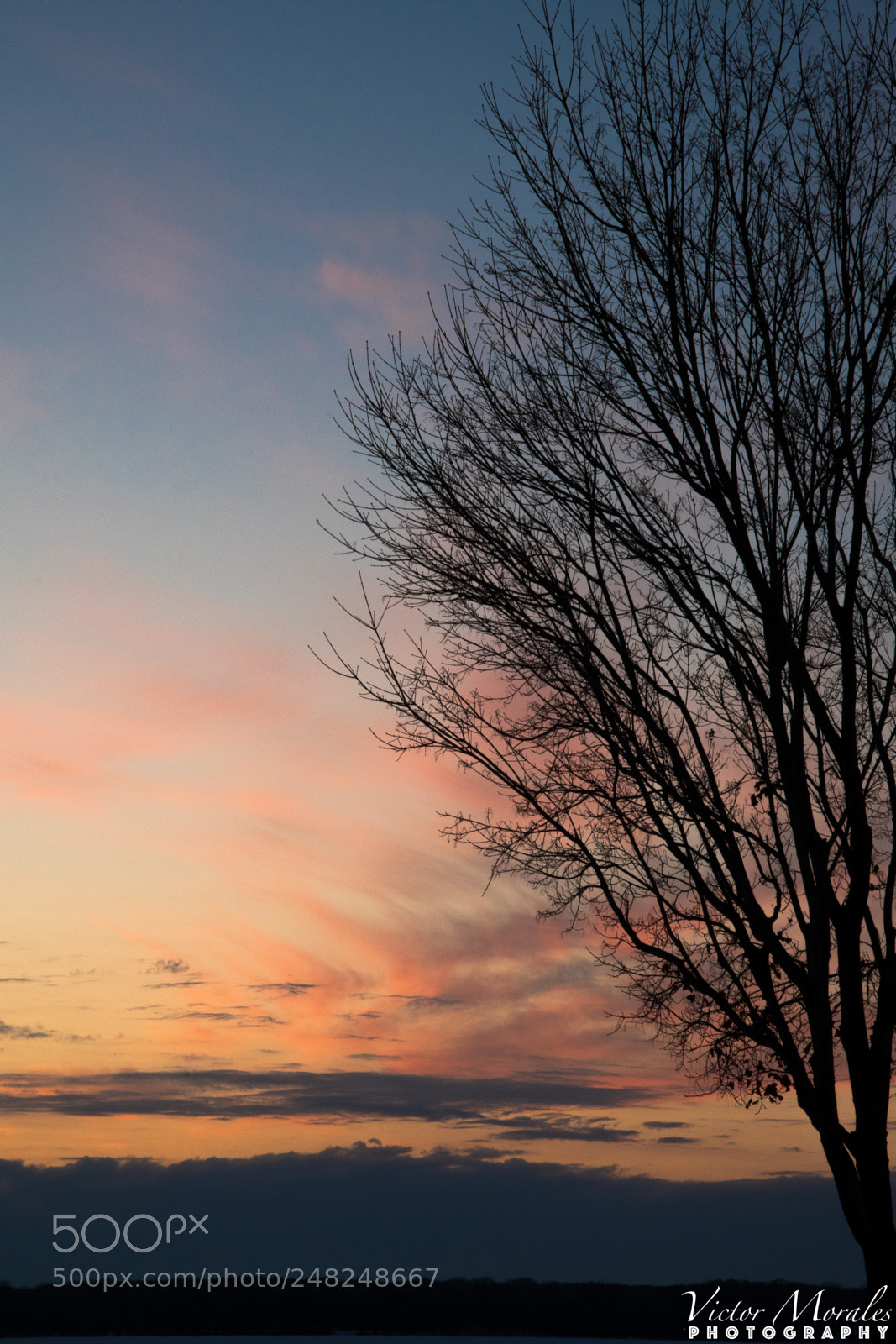 Nikon D500 sample photo. Winter sunset photography