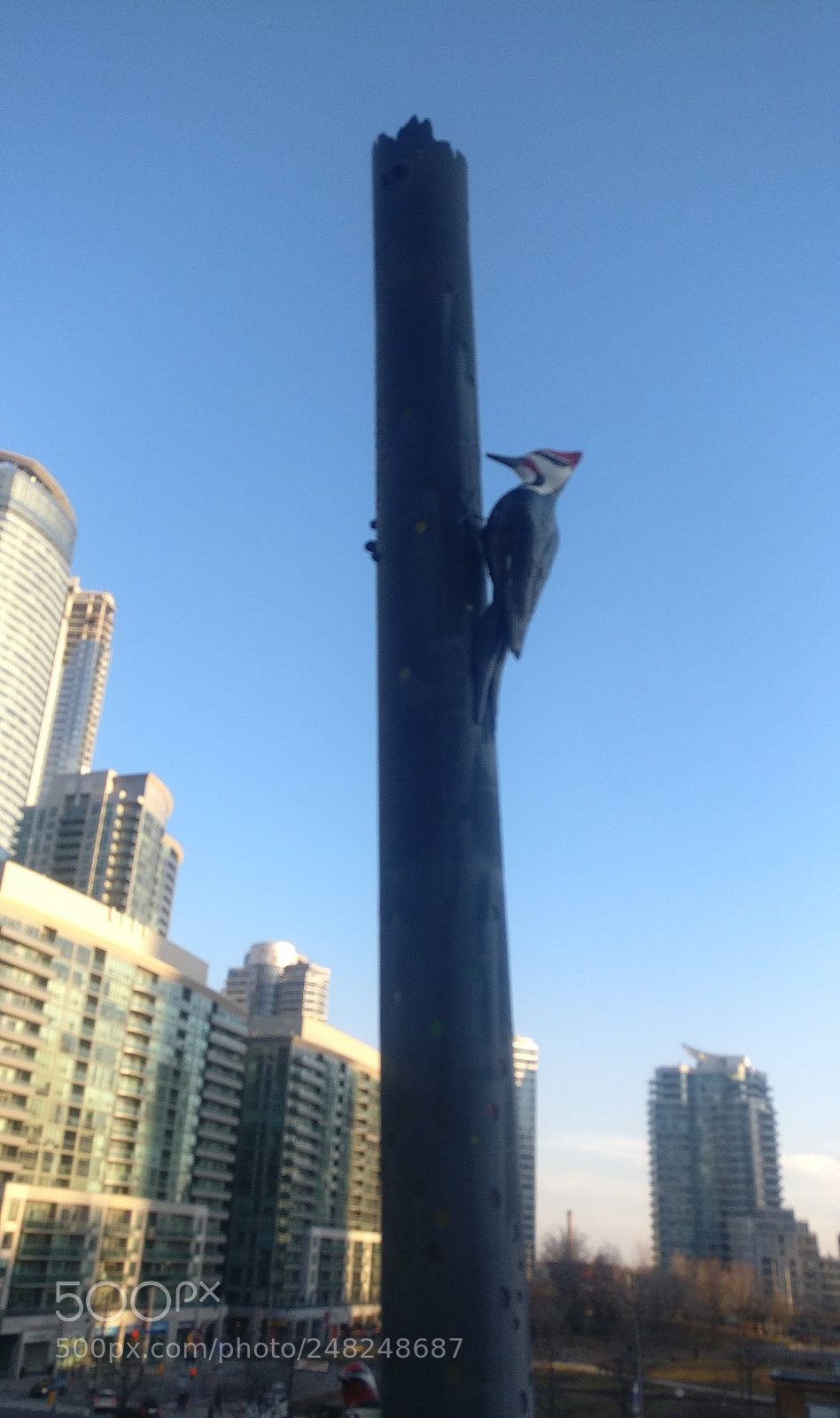 OnePlus A3003 sample photo. Woodpecker column photography