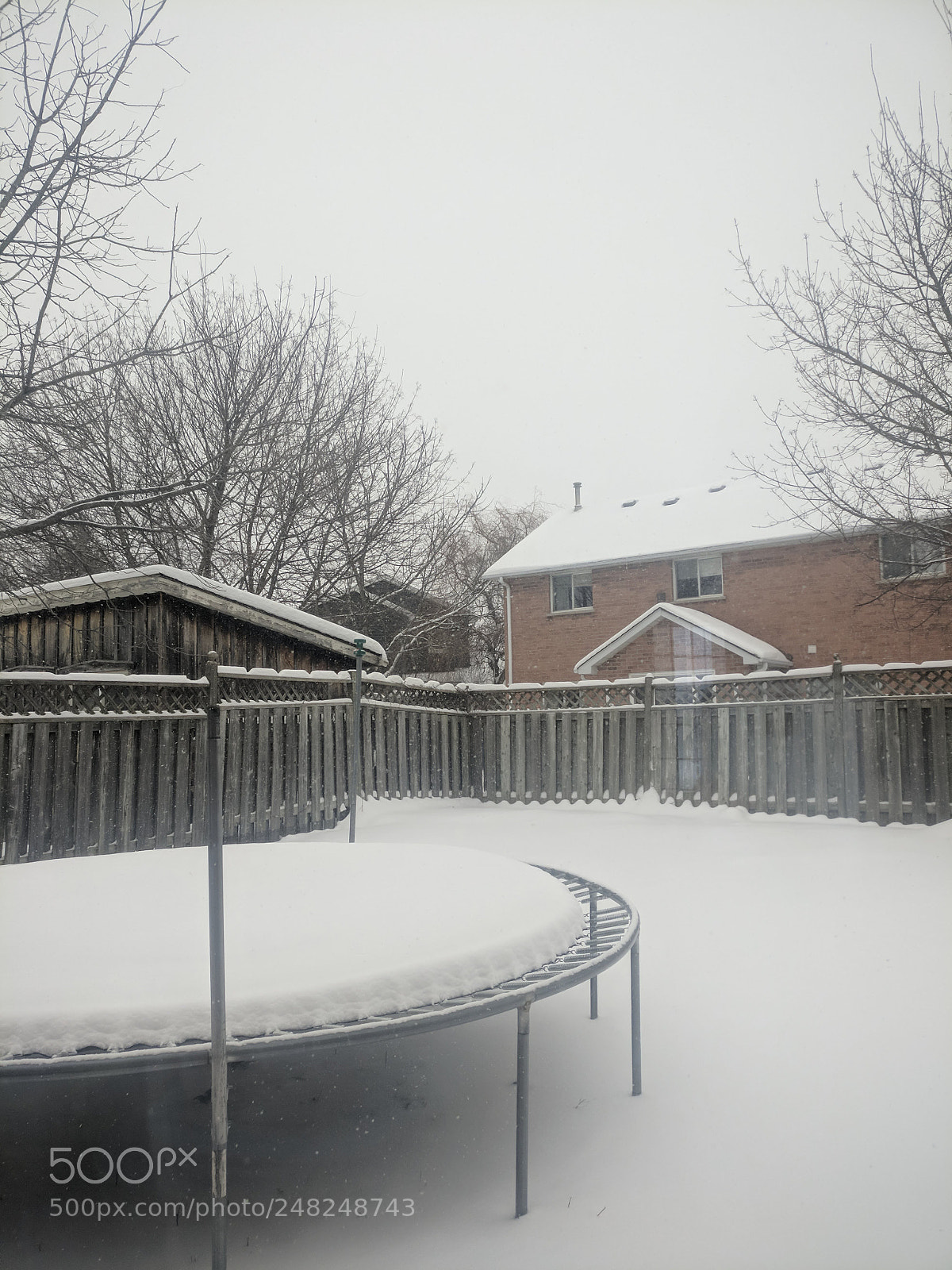 OnePlus A3003 sample photo. Snowy backyard photography