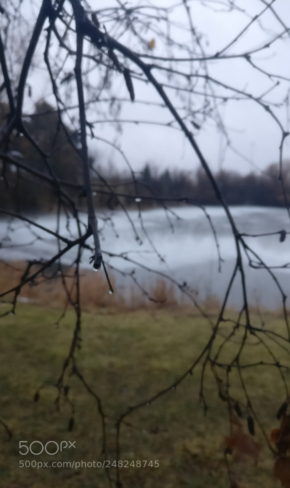 OnePlus A3003 sample photo. Lake in winter photography