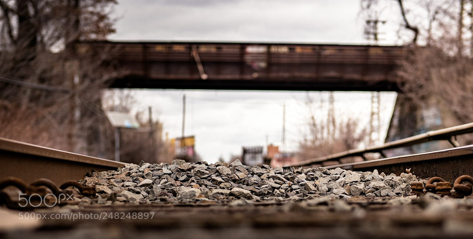 Panasonic Lumix DC-GH5 sample photo. Rox photography