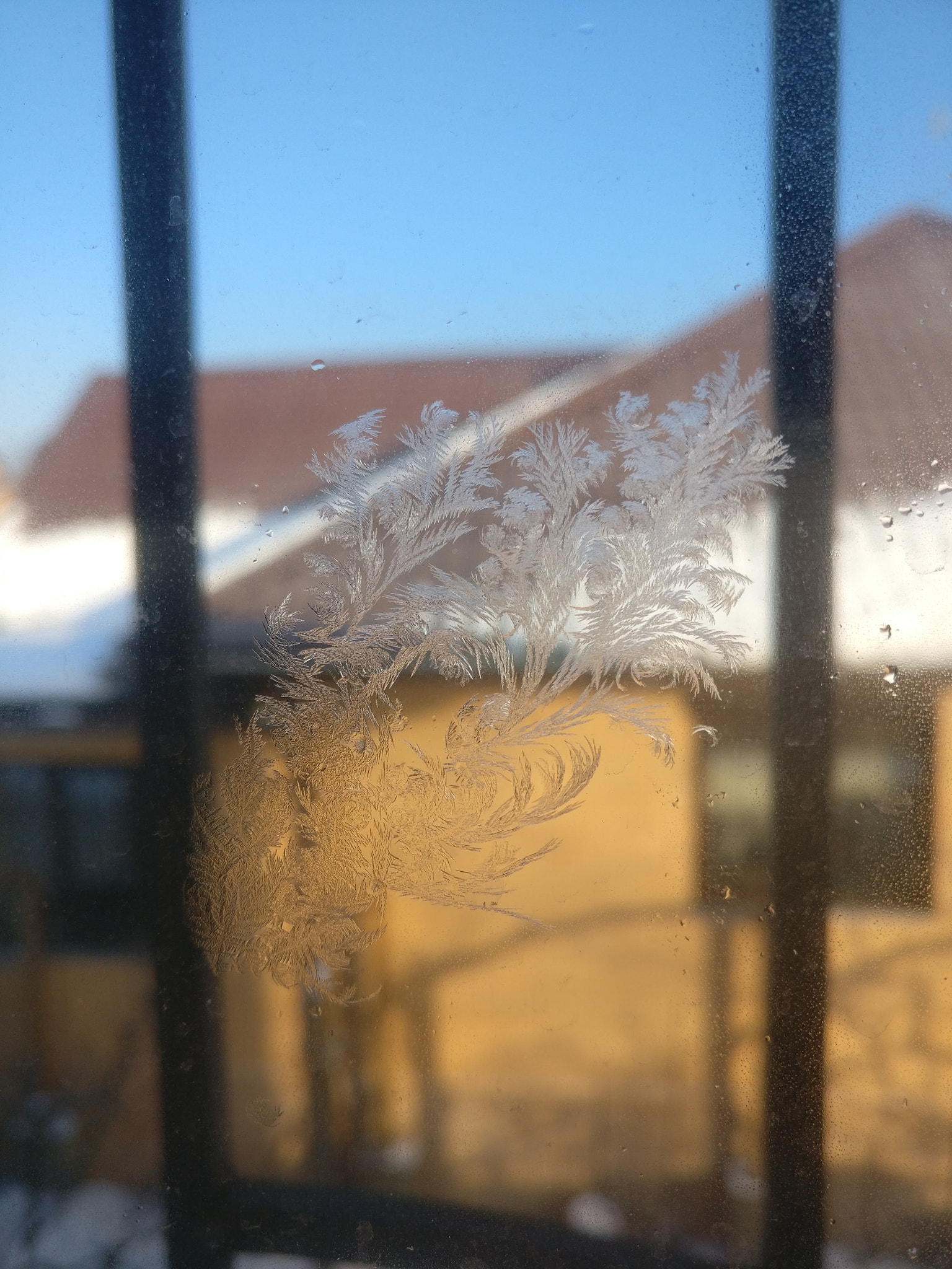 OnePlus A3010 sample photo