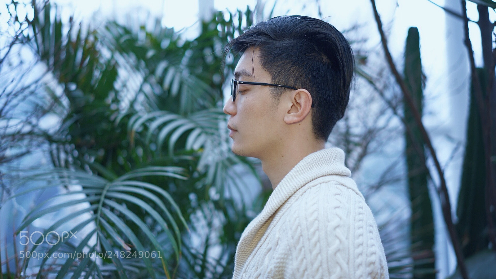 Sony a7 II sample photo. Untitled photography