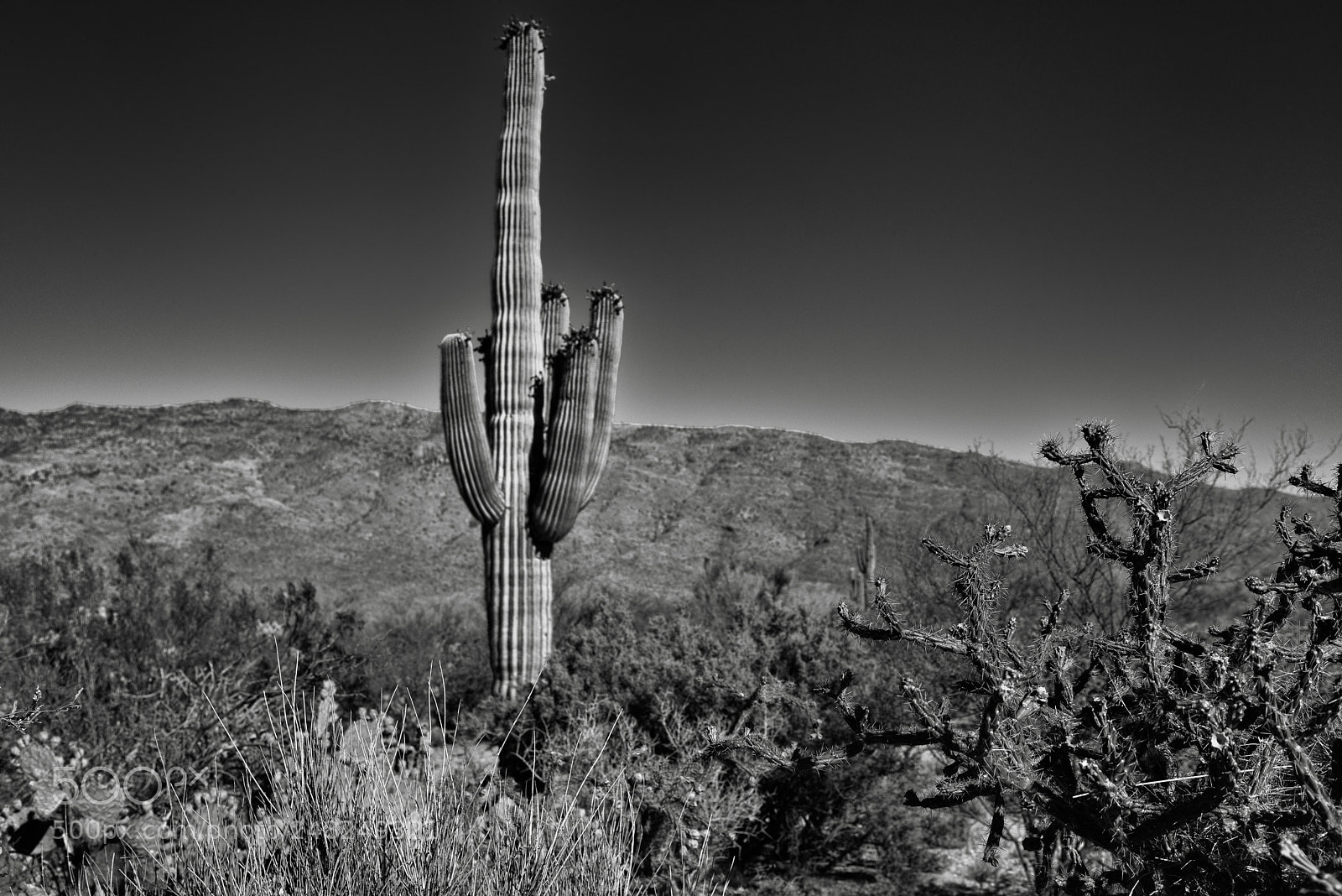 Nikon D800E sample photo. A varied desert landscape photography