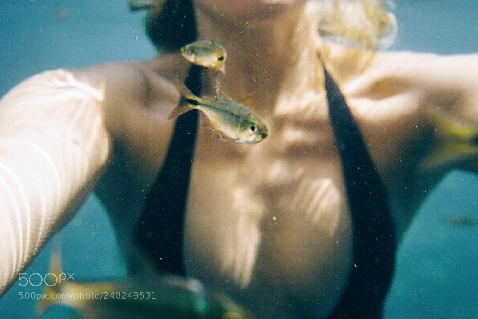 Sony a7 sample photo. Fish nibbles photography