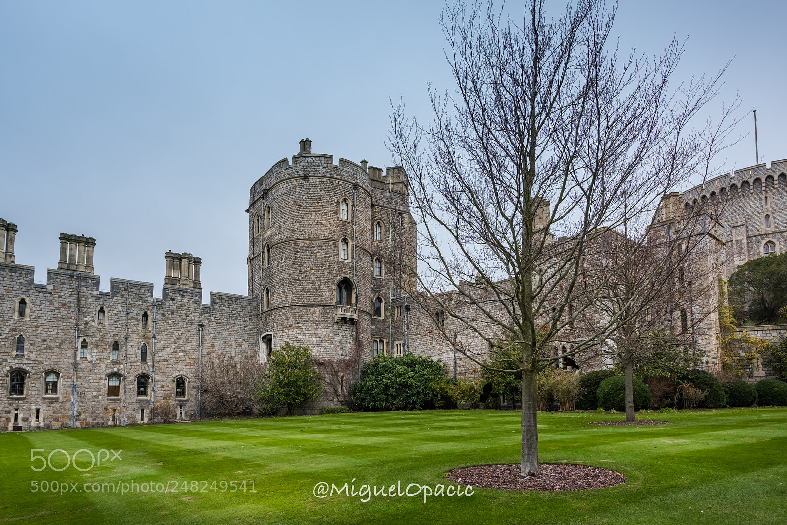 Nikon D810 sample photo. Gardens photography