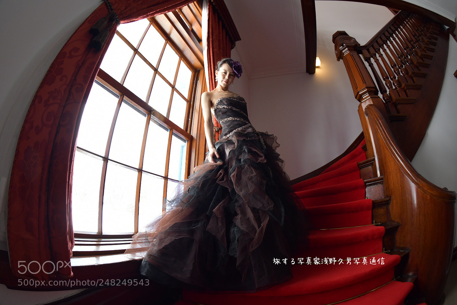 Nikon D850 sample photo. Untitled photography