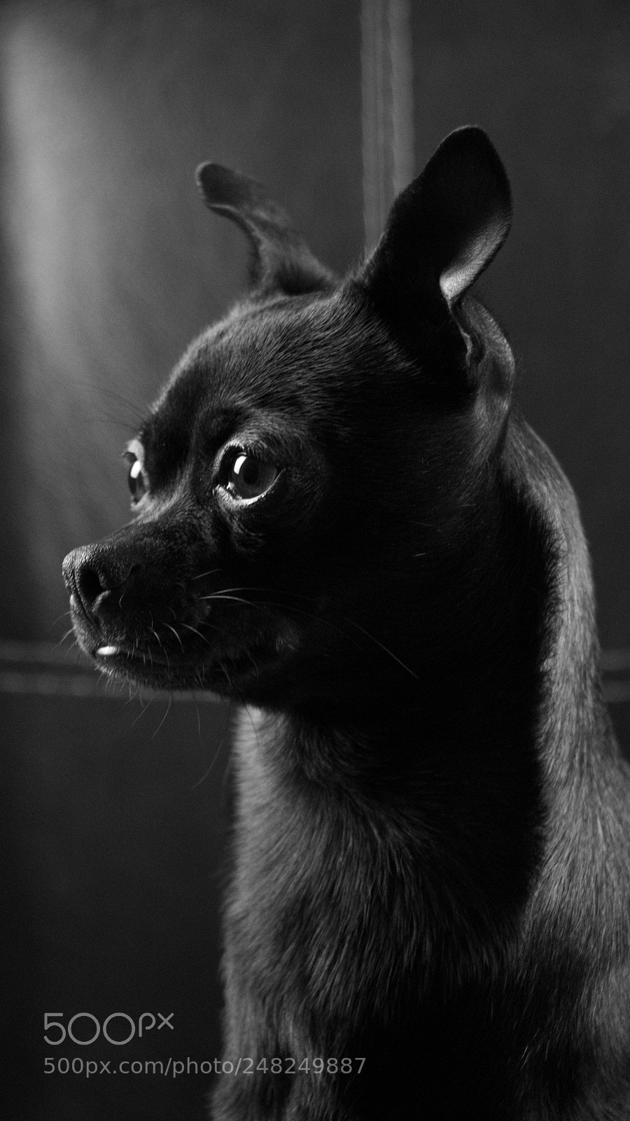 Canon EOS 750D (EOS Rebel T6i / EOS Kiss X8i) sample photo. Cosmo photography