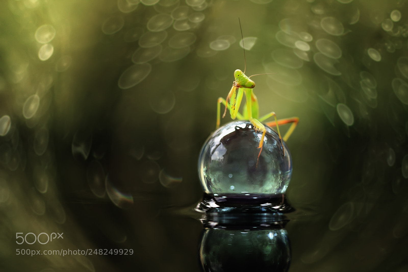 Canon EOS 7D sample photo. Cyrstall ball photography