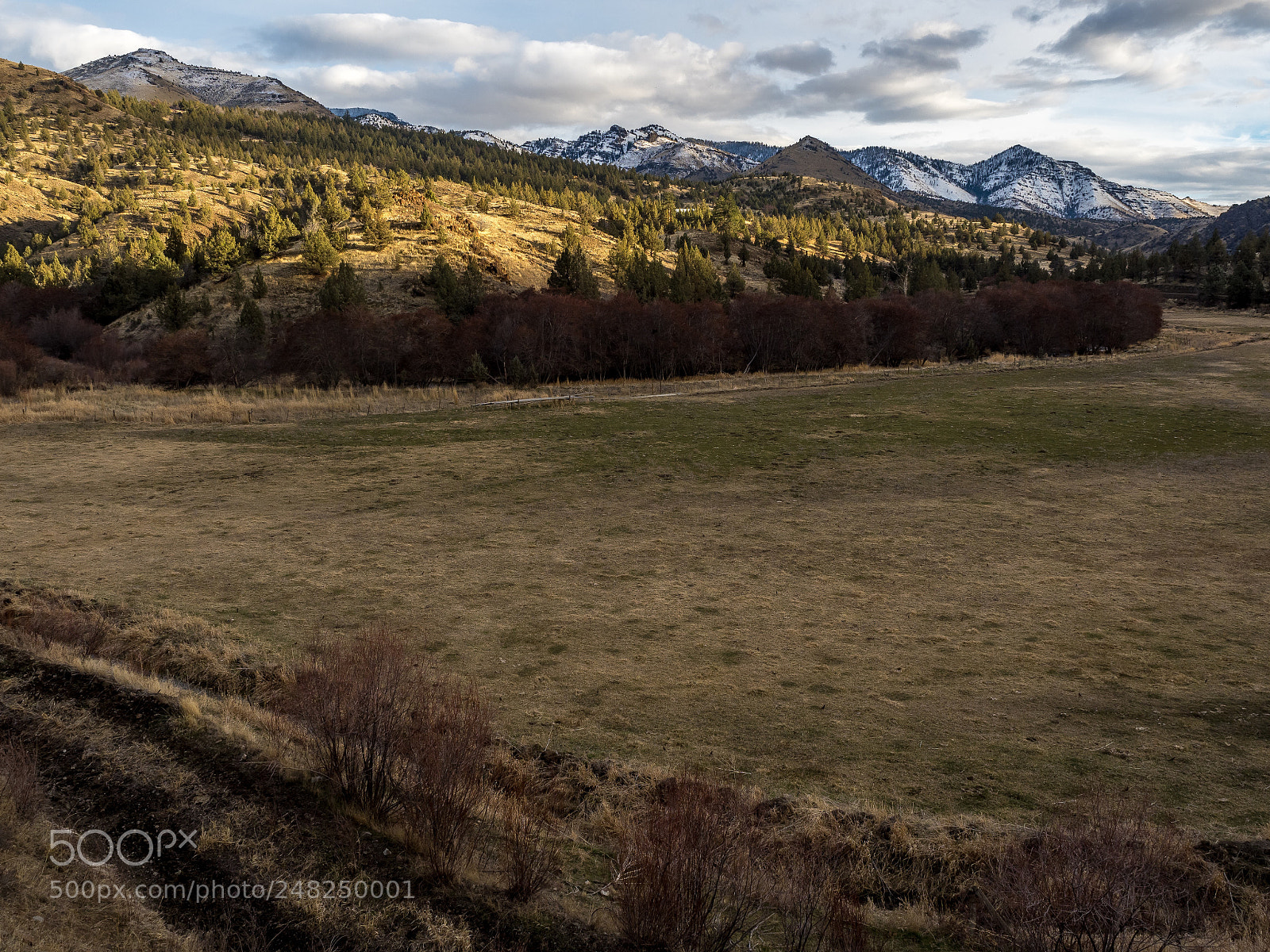 Olympus OM-D E-M5 II sample photo. Outside of dayville oregon photography