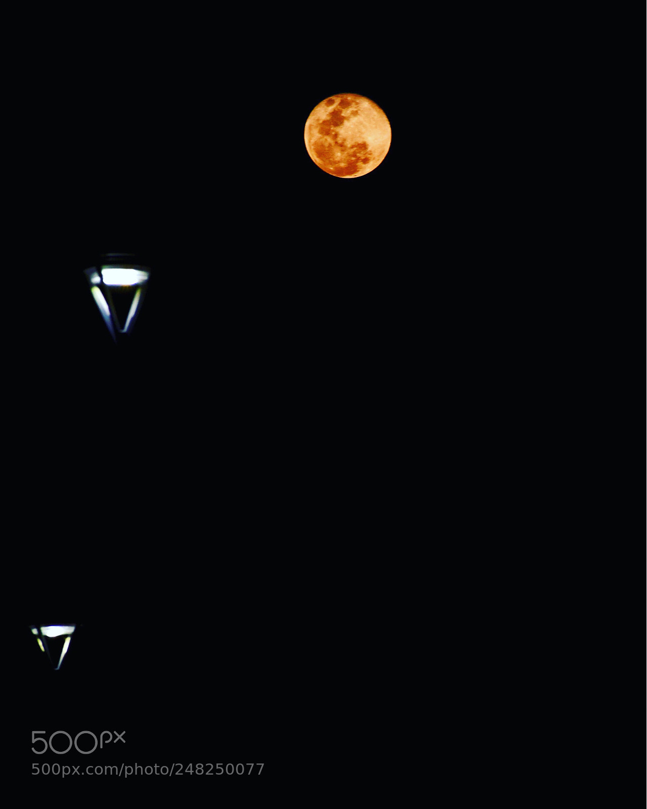 Nikon D7500 sample photo. Who gives light to photography