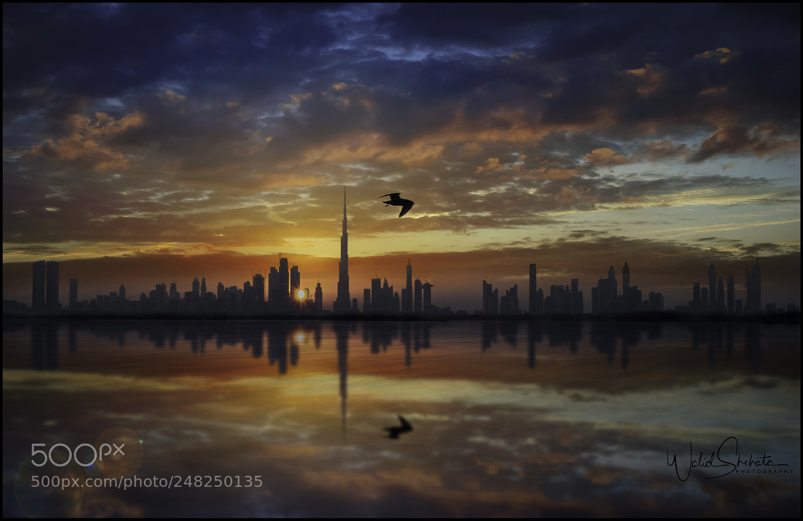 Nikon D5500 sample photo. Skyline dubai sunset photography
