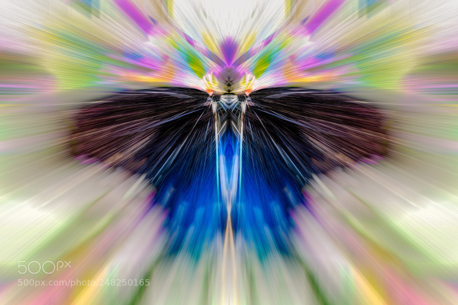 Canon EOS 7D Mark II sample photo. Butterfly abstract ii photography