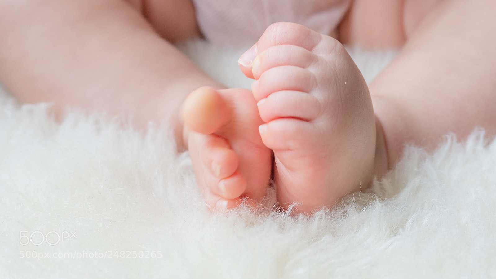 Sony a6300 sample photo. Lulu photography