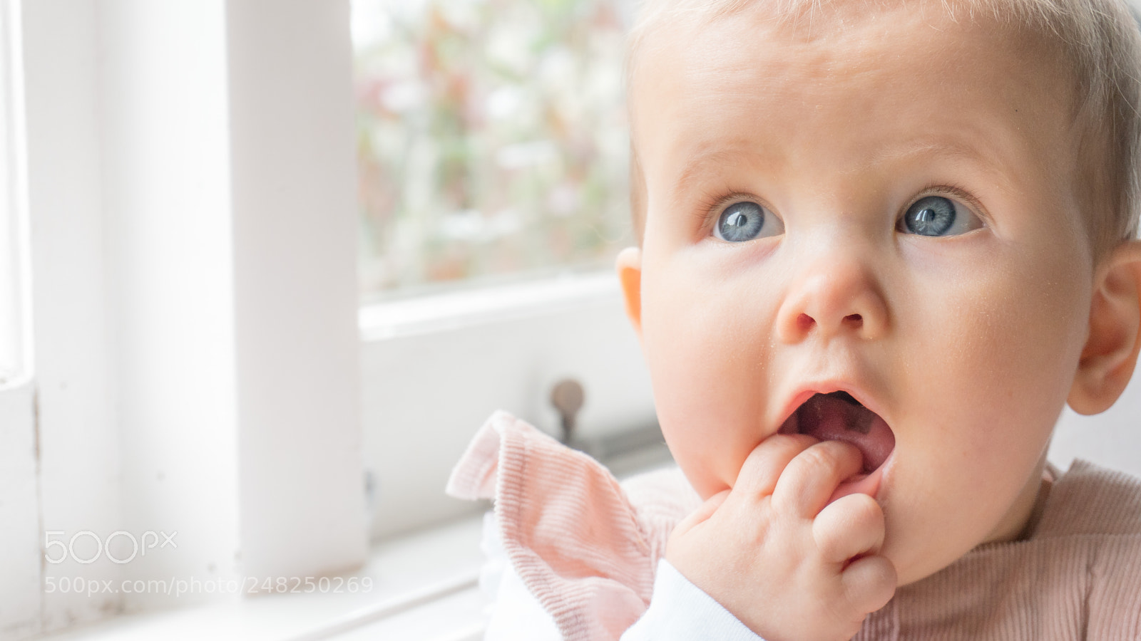 Sony a6300 sample photo. Lulu photography