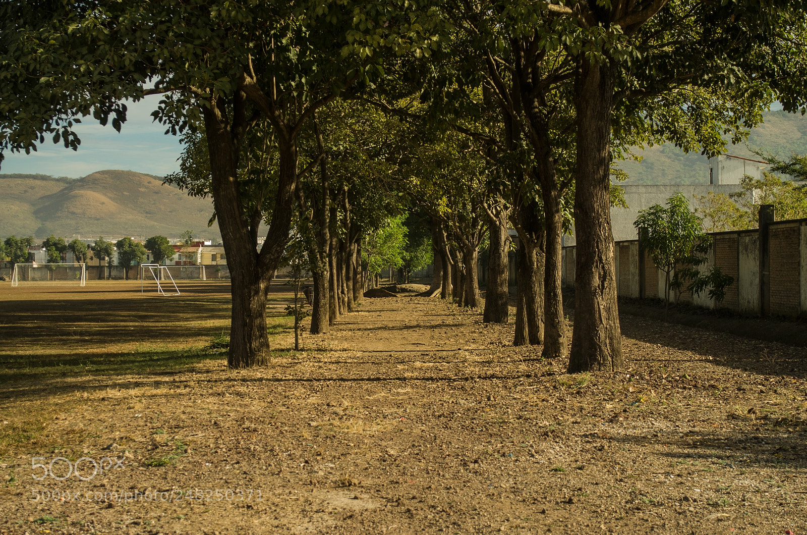 Nikon D5100 sample photo. Dirt road photography
