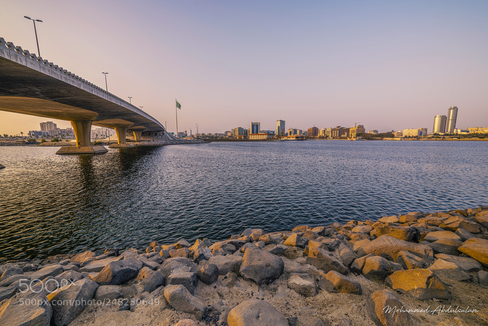 Nikon D610 sample photo. Bridge photography
