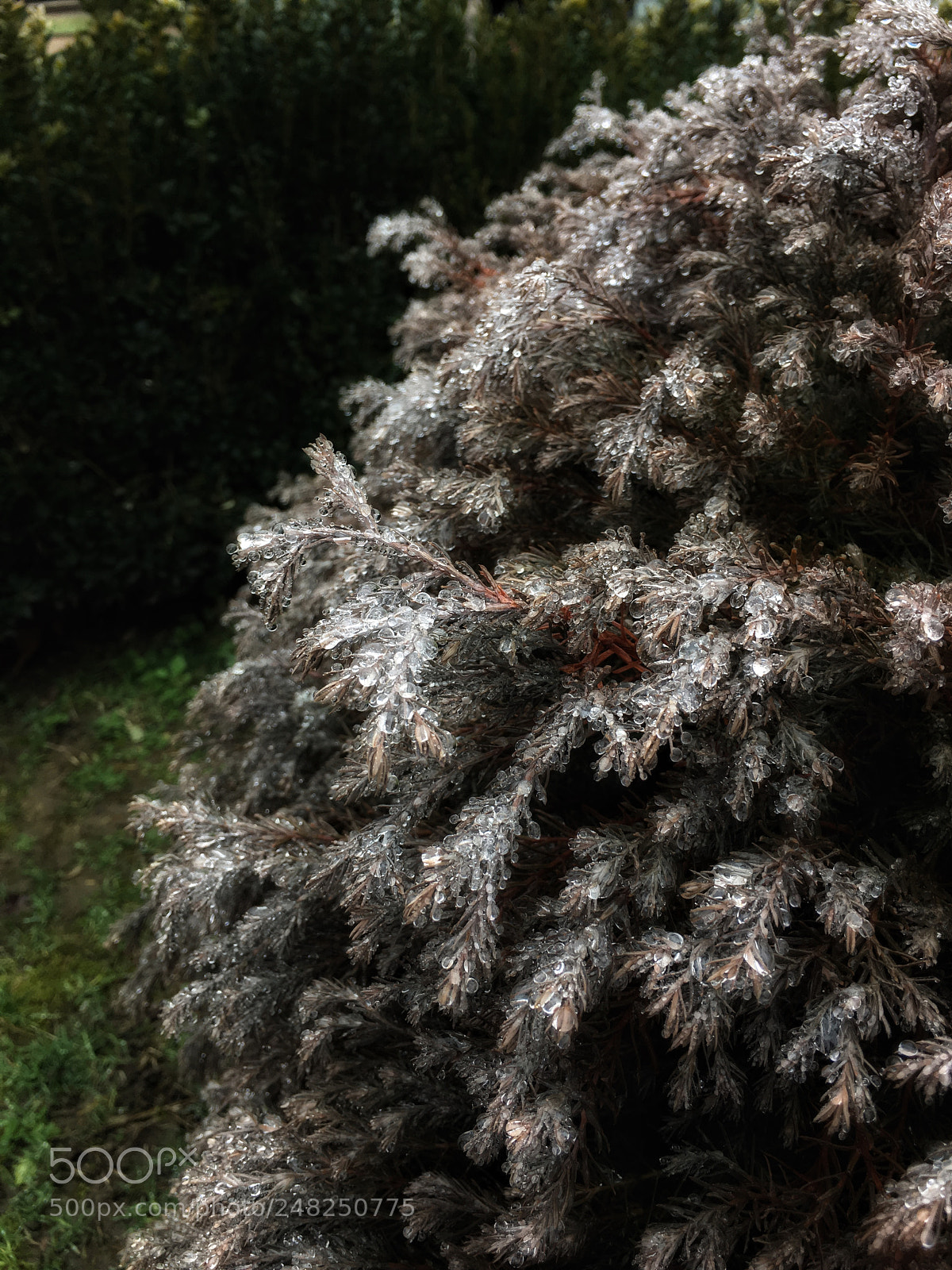Apple iPhone 6s Plus sample photo. Diamonds photography