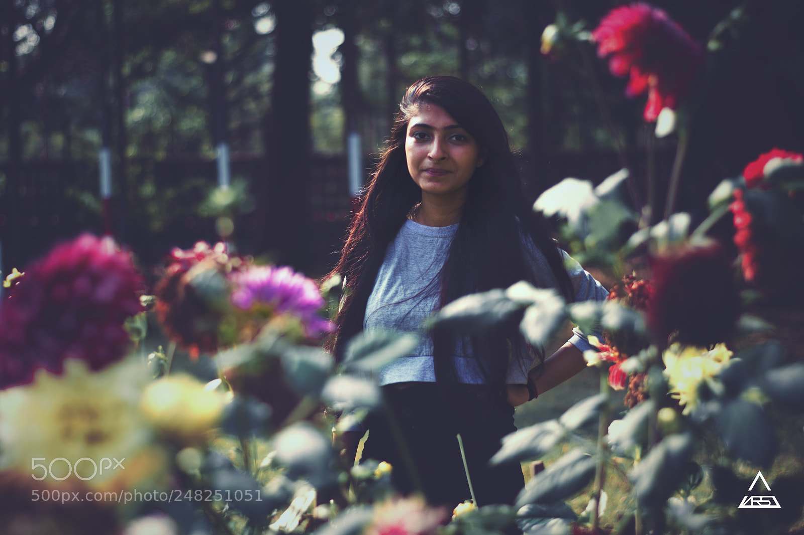 Nikon D5200 sample photo. Ekta flowers photography