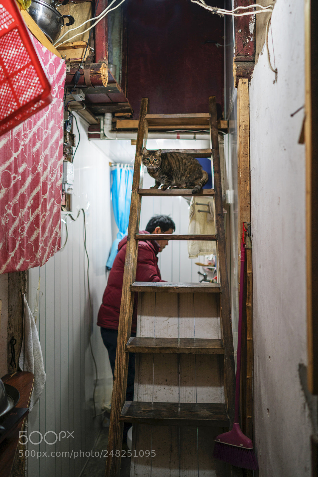 Sony a7R II sample photo. Untitled photography