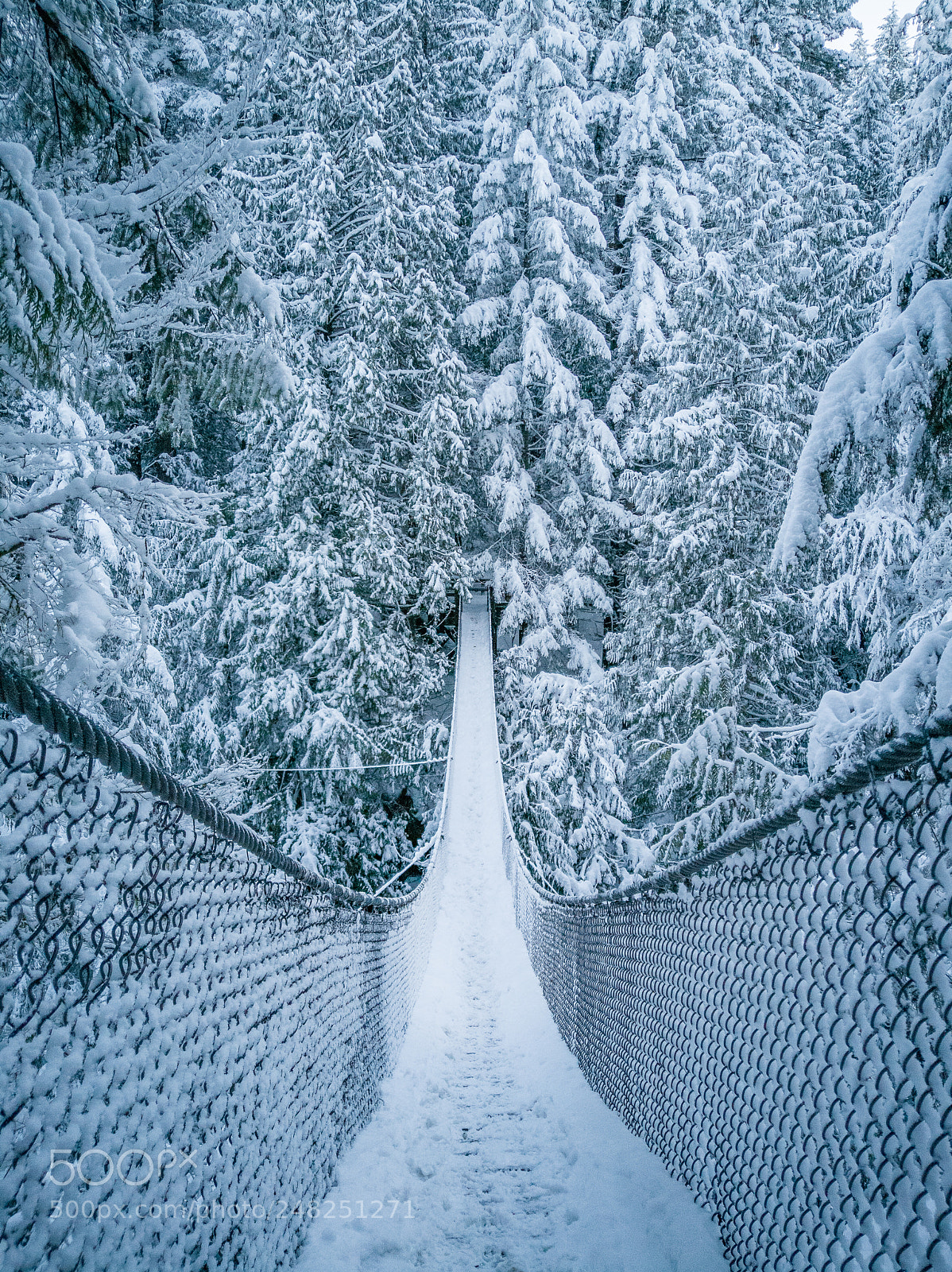 HUAWEI P10 Plus sample photo. Snow covered bridge photography