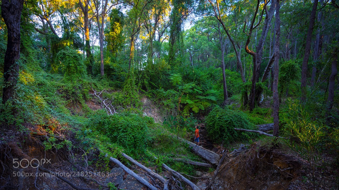 Sony a7R sample photo. The hidden places photography