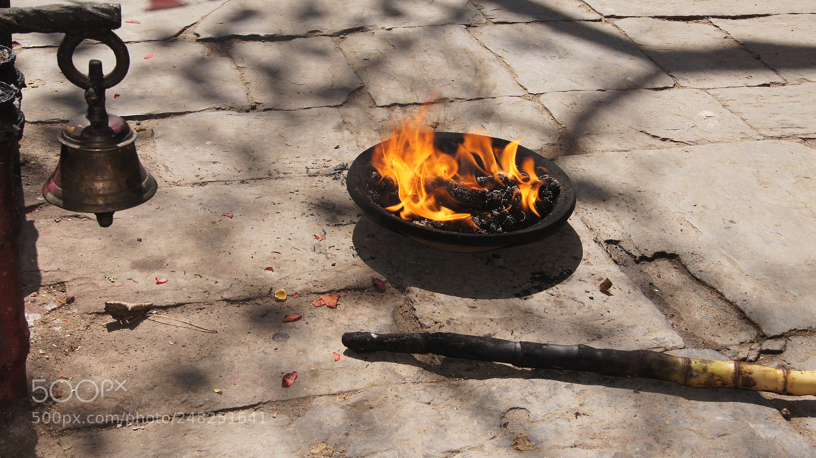 Sony SLT-A33 sample photo. The flame photography