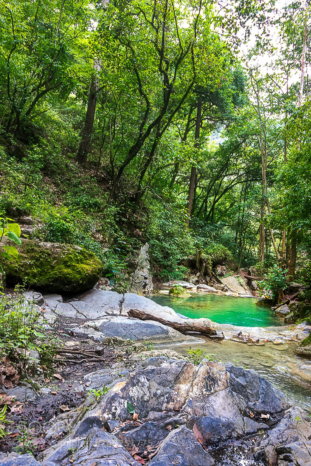 Canon EOS 7D Mark II sample photo. El paraiso photography