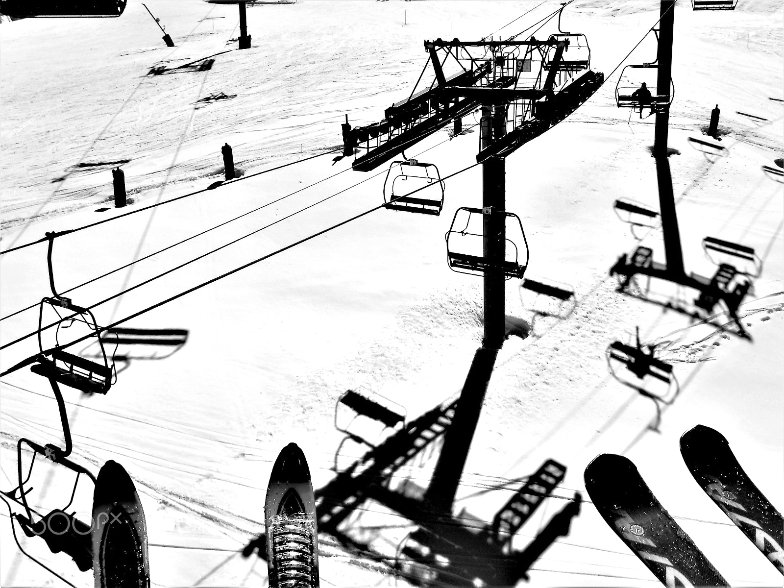 Fujifilm FinePix XP90 XP91 XP95 sample photo. Criss cross on snow ( victor schonbrotz) photography