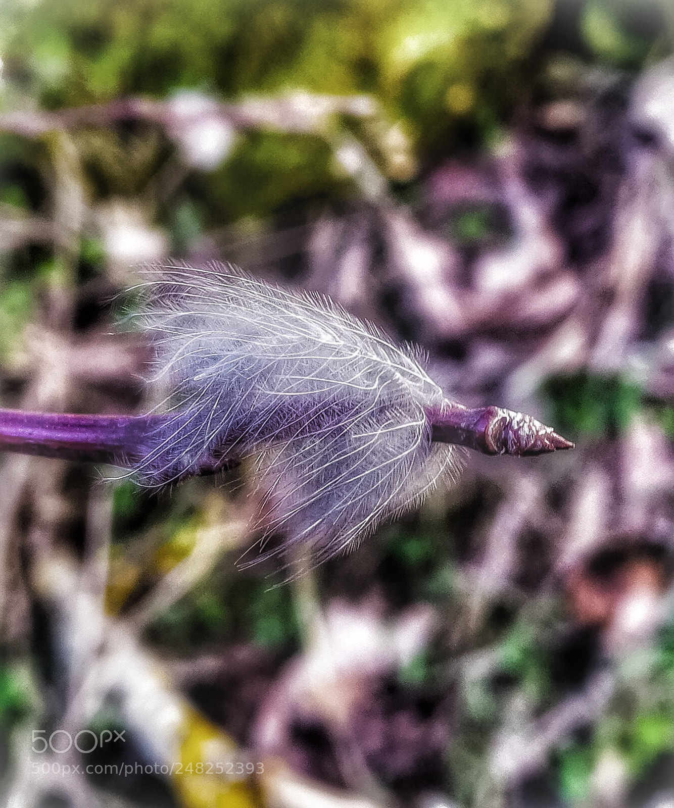 HUAWEI Mate 9 sample photo. Untitled photography