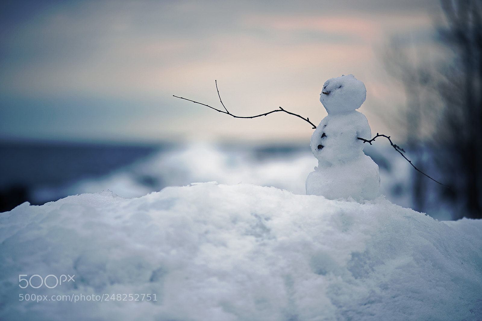 Nikon D810 sample photo. Perfect little snowman photography