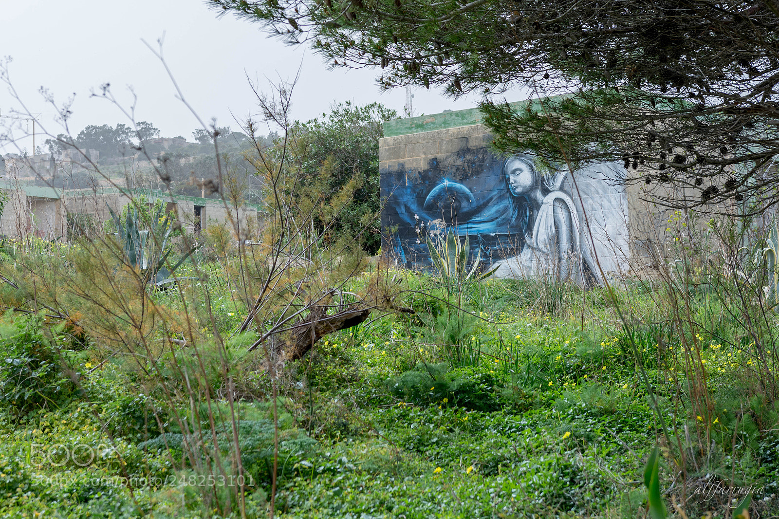 Nikon D7200 sample photo. Abandoned photography