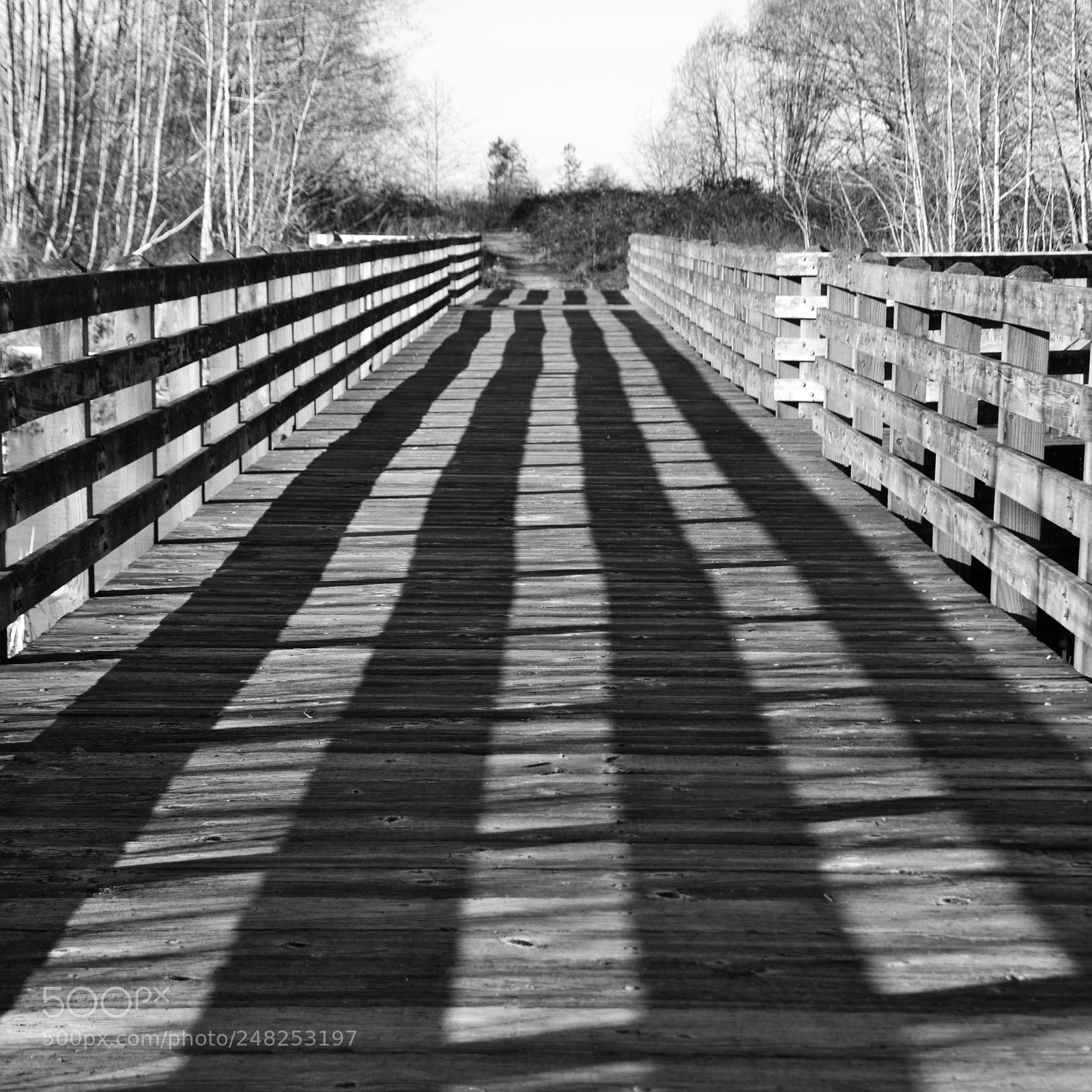 Nikon D3100 sample photo. Guiding path photography