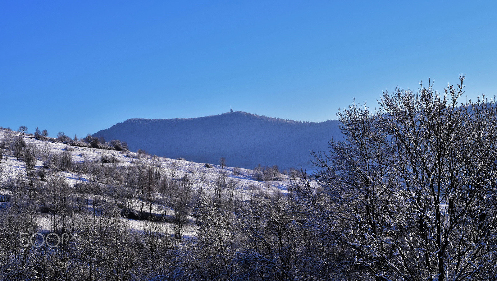 Nikon AF-S Nikkor 50mm F1.8G sample photo. Sunny winter photography