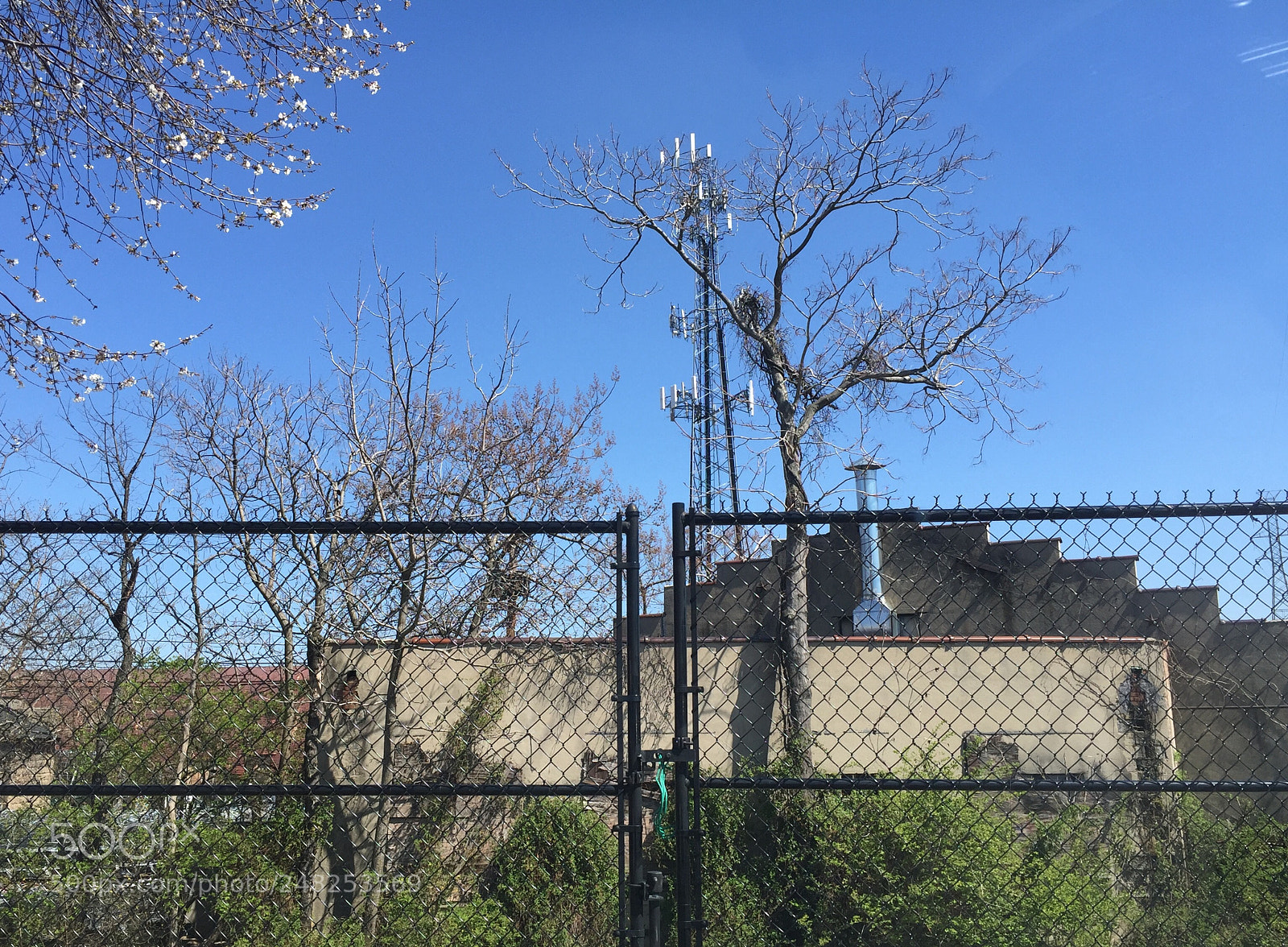 Apple iPhone 6 Plus sample photo. 25824713414.jpg photography